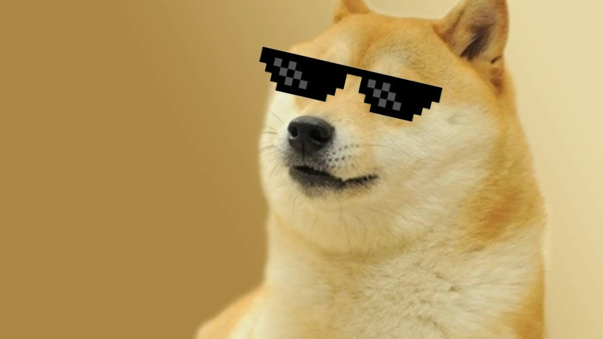 Doge表情包模板