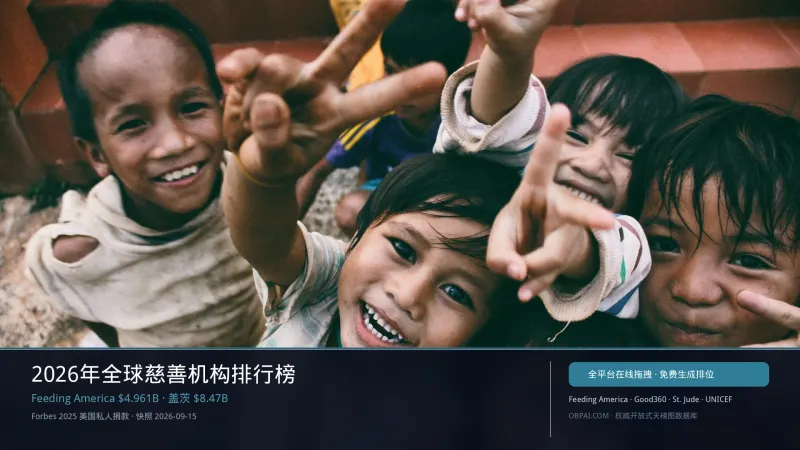 2026年全球慈善机构排行榜