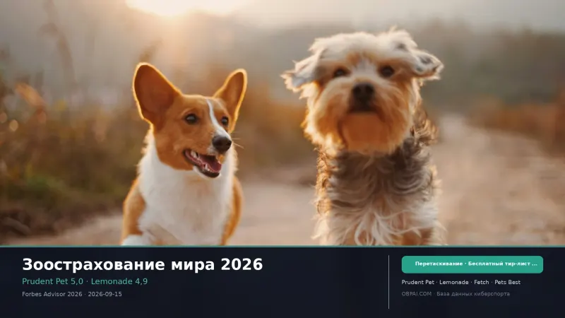 Зоострахование мира 2026