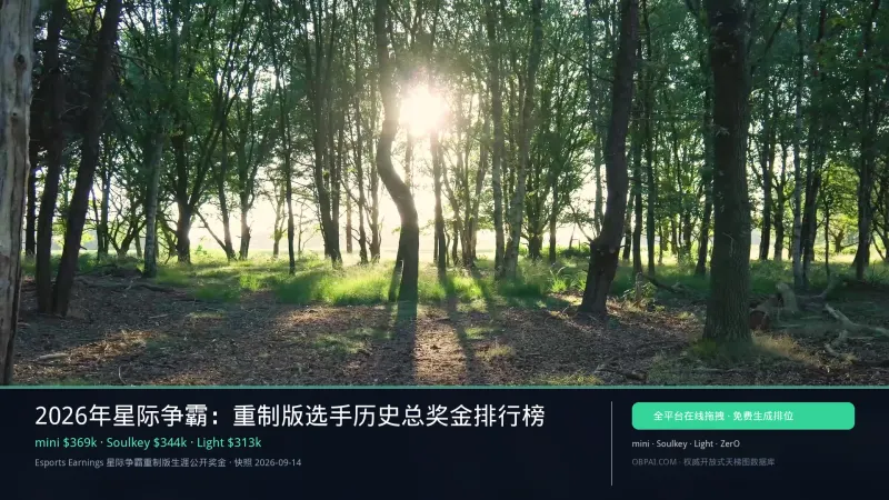 2026年星际争霸:重制版选手历史总奖金排行榜