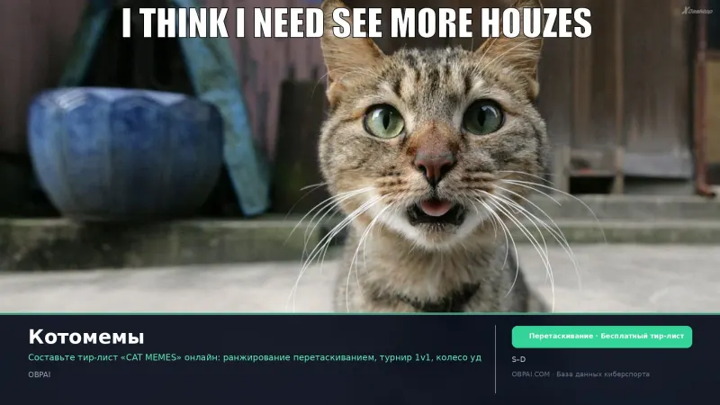 Котомемы