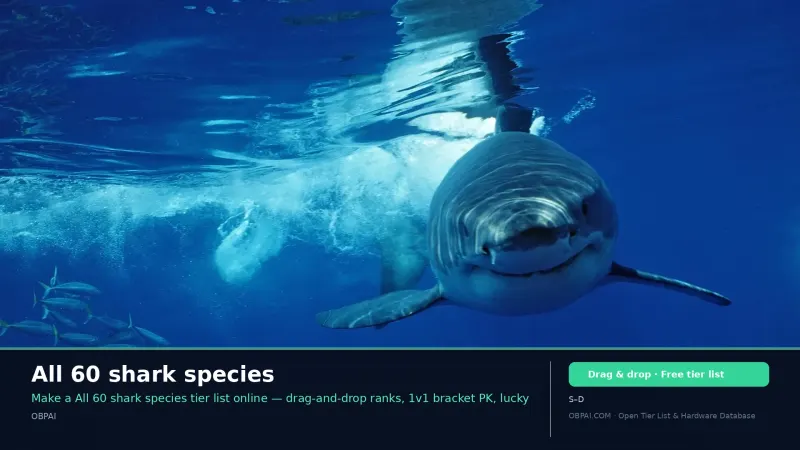 All 60 shark species