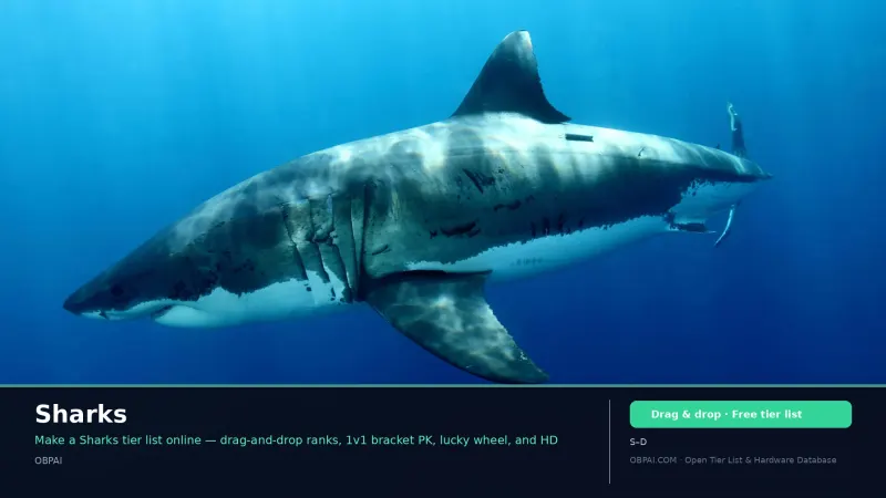 Sharks