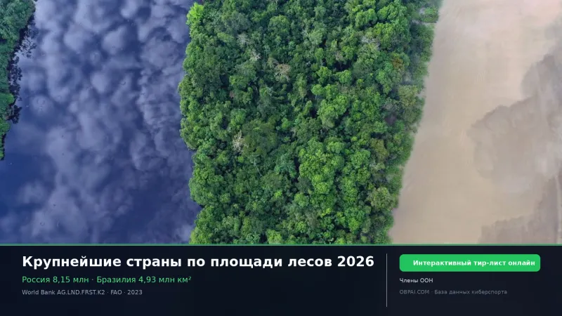 Крупнейшие страны по площади лесов